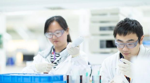 two laboratory technicians working in a lab